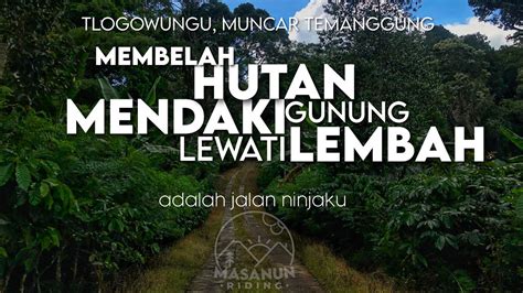 Tlogowungu temanggung. .  <a href=https://www.alessa-art.nl/mphg/google-drawings-app.html>946d<...