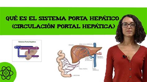 codini.rgarabwor.edu.pl. 