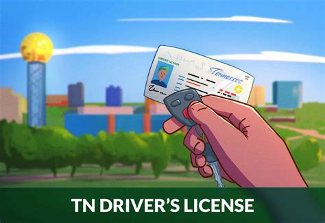 As of January 1, 2016, Tennessee licenses for persons over the age of 21 expire every eight years from the date of issuance. The "standard fees" are calculated for an 8 year driver …. 