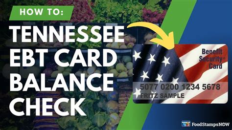 Tn ebt balance. Complete the Tennessee food stamp application. If you meet the eligibility criteria and would like to apply for food stamps, you have two options. You can either apply online here. You can submit your completed application online or print and sign the application and fax, mail, or bring it to a DHS county office for us to process. 