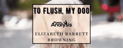 To Flush, My Dog by Elizabeth Barrett Browning - Poem Analysis