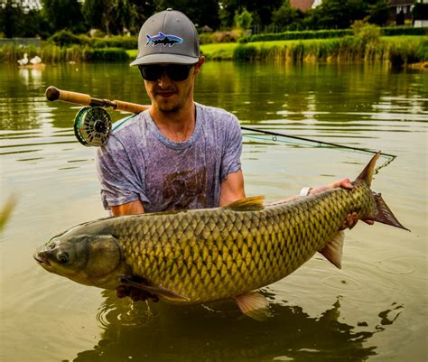 To catch a carp Farmer