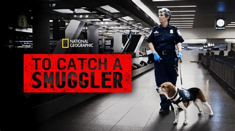  October 8, 2012. ( 2012-10-08) –. September 13, 2023. ( 2023-09-13) To Catch a Smuggler is a documentary television series that depicts the work of U.S. Customs and Border Protection and U.S. Immigration and Customs Enforcement law enforcement officers at multiple United States airports. Violations range from fraudulent visas to human ... . 