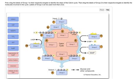 To identify the respective