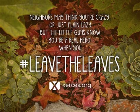 To leave the leaves or not to leave the leaves? That's the question