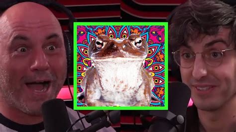 Toad Venom and DMT - YouTube