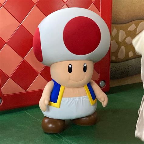 Toad makes his debut at Super Nintendo World