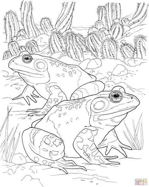Toads Coloring Pages ColoringBay