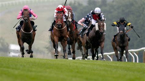 Today%27s racing results sporting life. Racecards. Today's racecards, tips, form and betting for every racecourse in the UK and Ireland, and for the biggest racing fixtures in the international calendar. Races. Runners Index. Stable Tours Entries. 