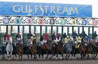 Entries for horse races at Aqueduct, Belmont Park, Churchill Downs, Del Mar, Golden Gate Fields, Gulfstream Park, Hawthorne, Keeneland, Oaklawn Park, Pimlico, Santa .... 