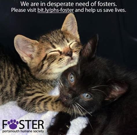 Today is the LAST DAY for... - Portsmouth Humane Society - Facebook