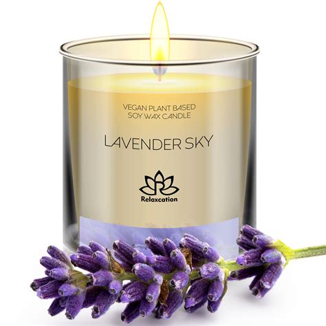 Todayeer Lavender Soy Wax Candle eBay