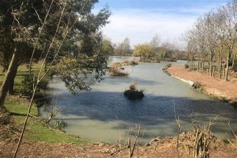 Toddington Fishery Fishing in Toddington Bedfordshire