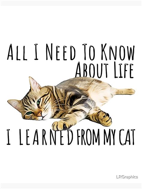 Todo lo que necesito saber lo aprendí de mi gato. - Jvc gz mg21ek gz mg21ex service manual.