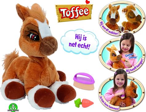 Toffee - Toffee mijn poney bol.com