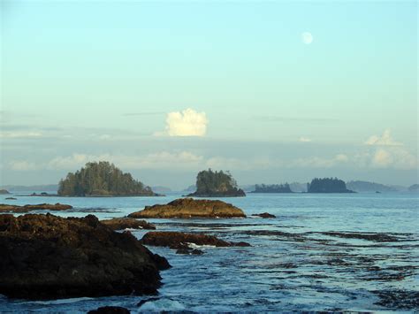 Tofino vs. Broken Islands - Vancouver Island Forum - Tripadvisor