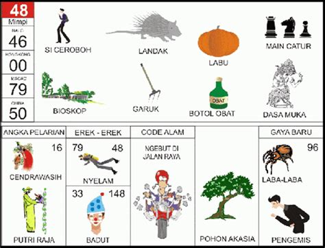 Togel hongkong 2019 sampai 2020. Kode alam melihat cicak.