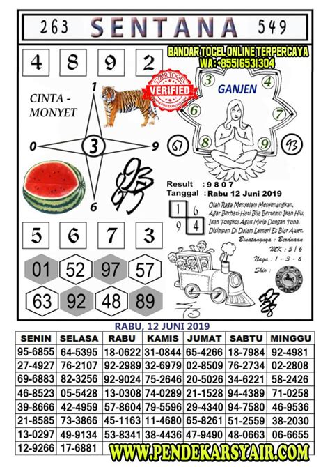 Togel kamboja hari ini 2022. Di gigit ikan hiu hongkong togel plus.
