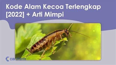 Togel kode alam kecoa 4d. Depo 50 dapat.