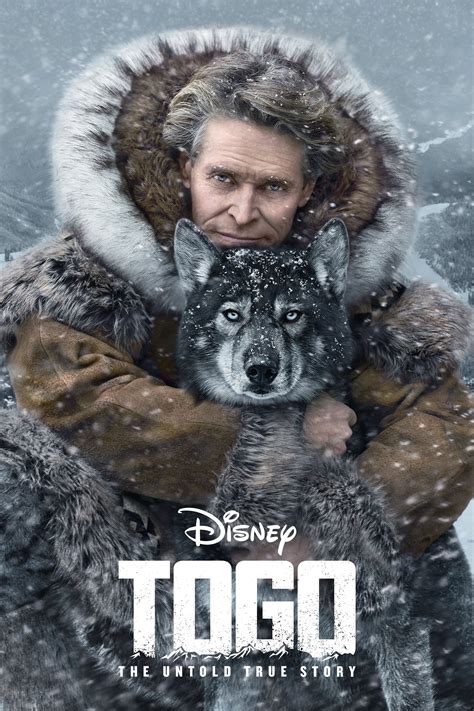 Togo movie. Ram. 4, 1441 AH ... Willem Dafoe said he was frequently dragged at high speed by dogs while filming 'Togo' in the Canadian wilderness. 
