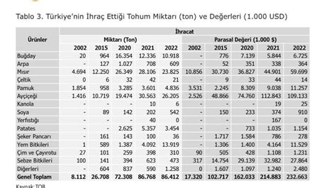 codini.rgarabwor.edu.pl. 