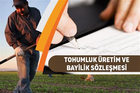 Tohumluk Halı ve Koltuk Yıkama