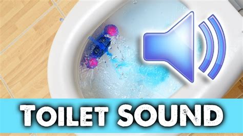 Toilet Flush Wav Free-Loops.com