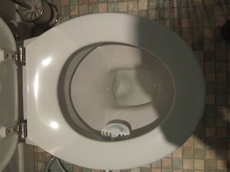 Toilet not flushing well. To correct the problem, you first must understand the cause. Several scenarios, both in the toilet's bowl and tank, can cause a bowl to not empty. When a toilet bowl does not empty completely with each flush, the toilet leaves waste behind in the toilet bowl instead of carrying it down the drainpipe. 