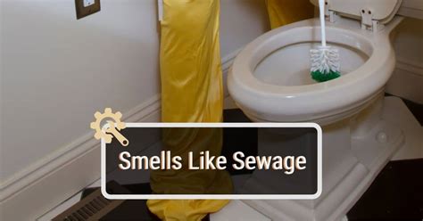 Toilet smells like sewer. Things To Know About Toilet smells like sewer. 