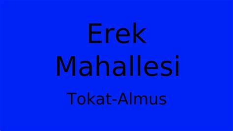 Tokat Almus Erek Mahallesi terapi halı yıkama