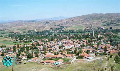 Tokat Artova terapi halı yıkama
