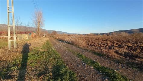 Tokat Erbaa Yeni Mahallesi terapi halı yıkama