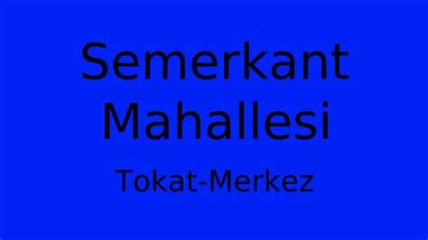 Tokat Merkez Semerkant Mahallesi terapi halı yıkama