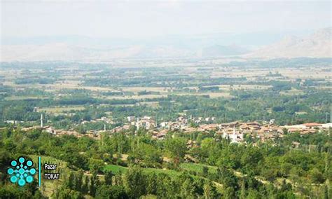 Tokat Pazar terapi halı yıkama