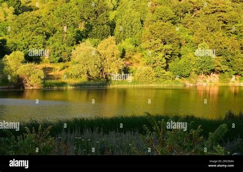 Tokat Resadiye En Yakin terapi halı yıkama