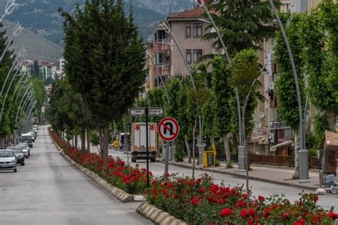 Tokat Turhal terapi halı yıkama