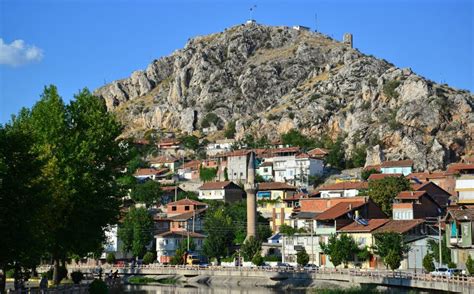 Tokat Turhal En Yakin terapi halı yıkama