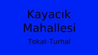 Tokat Turhal Kayacik Mahallesi terapi halı yıkama