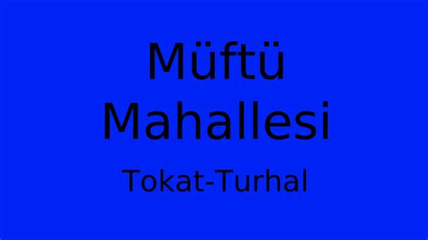 Tokat Turhal Muftu Mahallesi terapi halı yıkama
