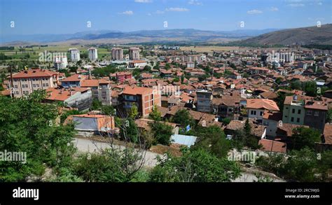 Tokat Zile En Yakin terapi halı yıkama