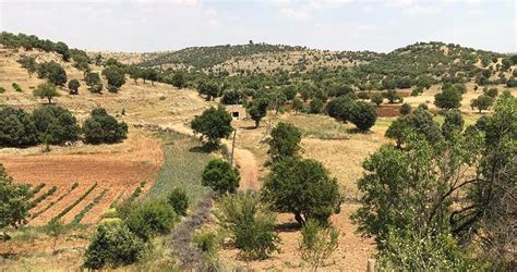 Tokdere Halı ve Koltuk Yıkama