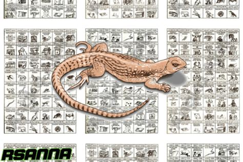Toke 2d 3d kode alam togel hewan biawak. Colok hk prediksi bandar.