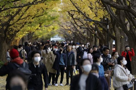 Tokyo’s threatened Jingu Gaien park placed on ‘Heritage Alert’ list by conservancy body