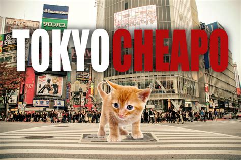 Tokyo cheapo. Apr 11, 2023 · US$182.74 *. non toll-roads/ US$203.01 *. on toll-roads. 90 min non toll-roads/ 70 mins on toll-roads. You can also take a regular taxi from Narita Airport to Shinjuku, but this can be very expensive, so we don’t generally recommend it. The Narita airport taxis are parked outside the arrival terminals. 
