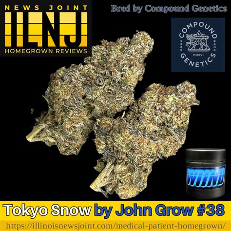 Just like the glistening prefecture of Tokyo, this cannabis strain touts a glorious golden haze. Saturated green hues ranging from lime to moss create a jacket around the nugs with bits of gold and brown peering through the cracks. Interspersed throughout the samples are fine orange hairs that portray an appearance of the flame.. 