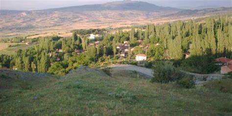 Tolamehmet Halı ve Koltuk Yıkama