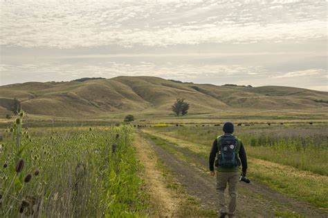 Tolay Lake Regional Park - Sonoma County · Hike Then Wine