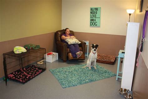  Pet Diagnostics Rescue - Ann Arbor, MI 2759 Cumberland Avenue, Ann Arbor, MI 48104 . 