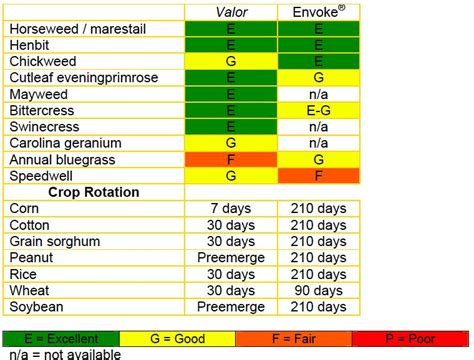 Tolerance of Roundup Ready corn to a tankmix of Roundup plus …