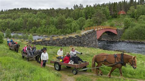 Tolga Halı ve Koltuk Yıkama